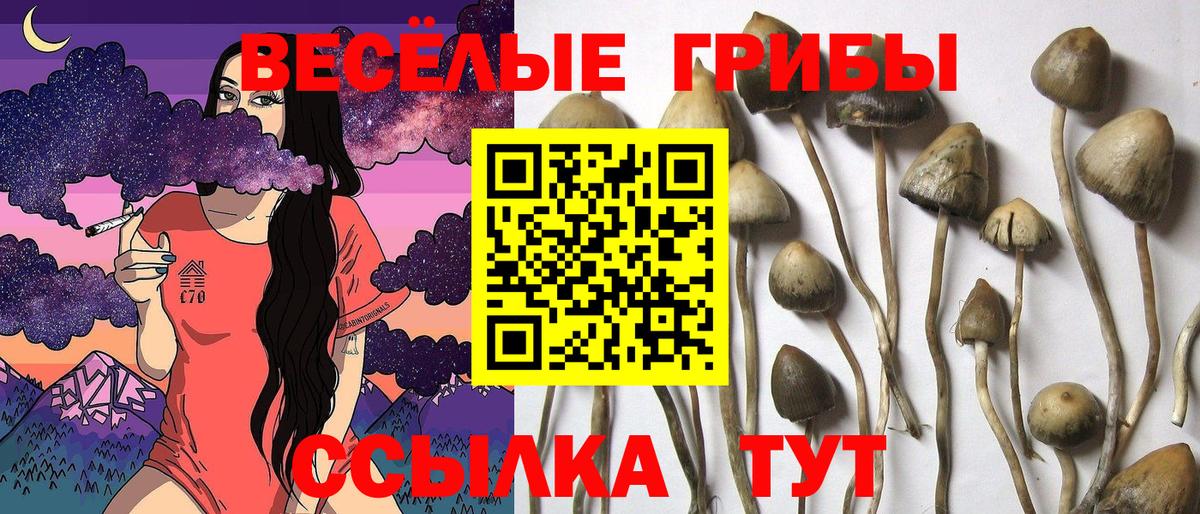 Псилоцибиновые грибы мухоморы  Псилоцибиновые грибы MAGIC MUSHROOMS  Вход с VPN  Пугачёв 